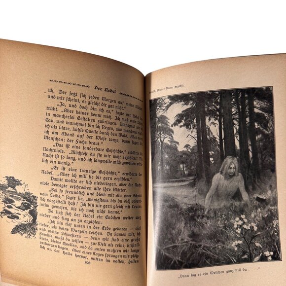 "Mother Nature Tells" By Karl Ewald Hardcover Book German Mutter Natur Erzählt - Picture 12 of 16